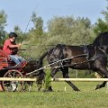 vozatajske-hobby-zavody-hustopece-nad-becvou-29-7-2017