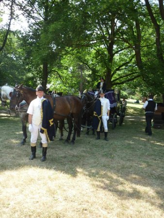 11846716_446089095592312_129239226135617607_n