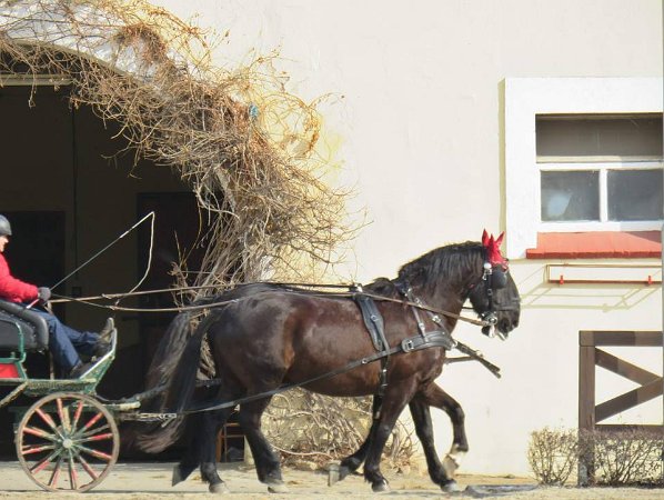 28378359_813819205485964_6796057517115189485_n