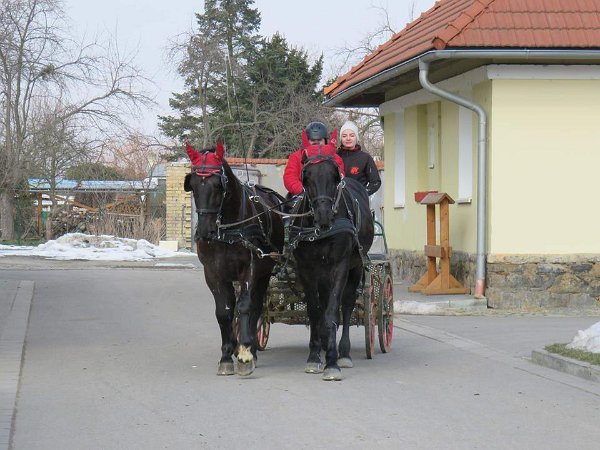 28468340_813819168819301_3868298646722657230_n