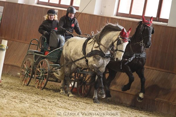 12794407_499714676896420_3780062127084775135_n