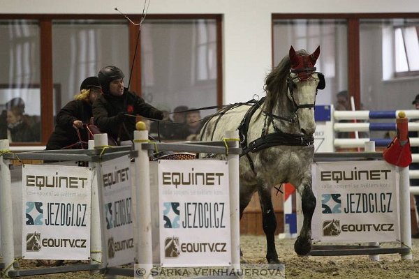 12809592_499714603563094_2199411730809426509_n