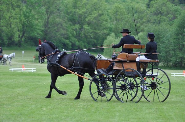 18835498_695842643950288_8174874928322105285_n