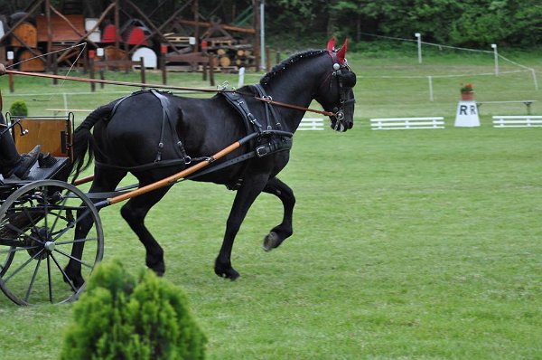 18838943_695842647283621_1872992968504700436_n