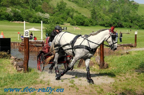 18951165_695842577283628_6070689163157509415_n