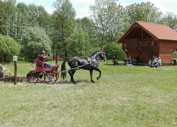 19029697_695842620616957_2135469447303507193_n