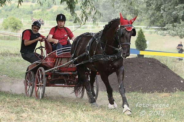 11891189_445895905611631_1929698741380364707_n