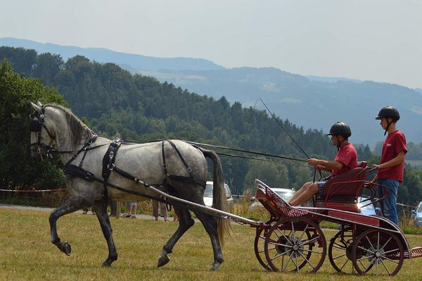 11914956_445914865609735_6404924243328609955_n