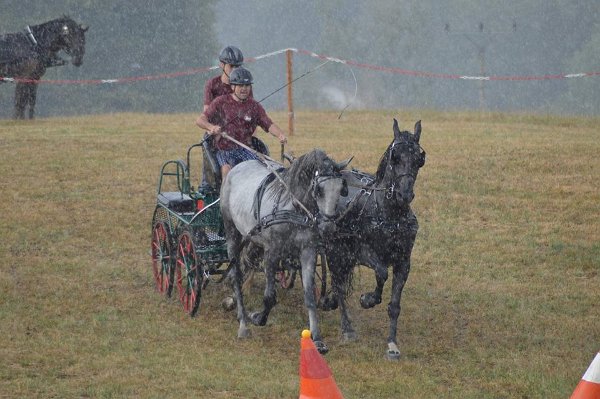 11933474_445914852276403_5203109710964180951_n